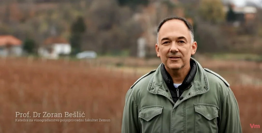 Video kurs "Rezidba vinove loze" - Prof dr Zoran Bešlić